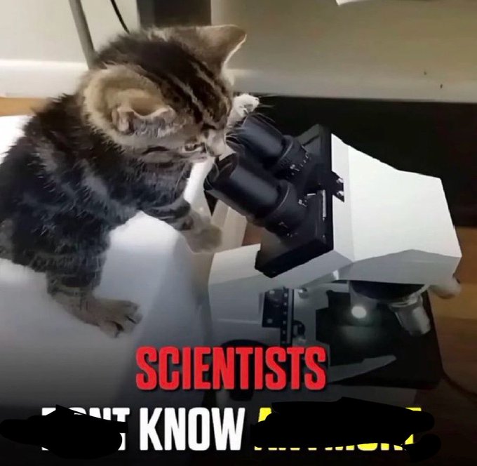 A kitten uses a microscope with the text "SCIENTISTS DON'T KNOW" superimposed, humorously implying the extensive nature of the studies mentioned in the post that supposedly support a "cat coin supercycle" are beyond human comprehension.