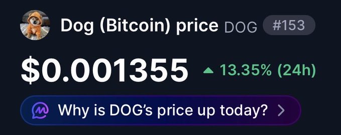 A financial ticker showing 'Dog (Bitcoin) price DOG #153' at $0.0001355, up 13.35% in 24 hours, with a button asking 'Why is DOG's price up today?'