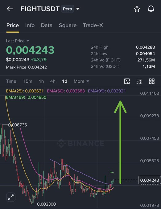 A Binance perpetual futures chart for FIGHT/USDT shows the price at 0.004243, up 3.79%, with a prominent green upward arrow drawn on the 1-day candle chart highlighting a bullish breakout from the lows at 0.002300 toward the EMA(199) resistance near 0.004850, consistent with a long position.