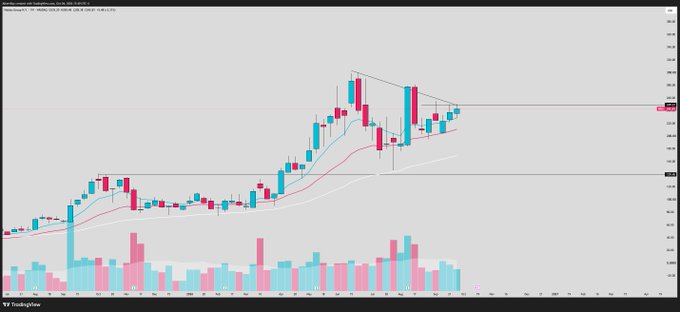 A weekly candlestick chart of $NBIS (Nebius Group) is displayed showing a strong uptrend with price consolidating near the $215-220 range, with moving averages (20-period in red, 50-period in blue) curving upward in support. The chart visually supports the post's observation of tightening candles near the top of the range, highlighting a descending trendline and the $215 support level where price action is compressing before a potential breakout above $250.