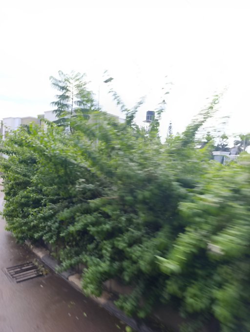 A blurry outdoor scene showing green bushes and trees alongside a wet pathway, with buildings in the background under an overcast sky.