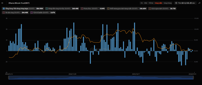 A Vietnamese stock market chart showing trading volumes and price trends for various stocks including HAG, HPG, and VIX, displayed on a financial website interface.