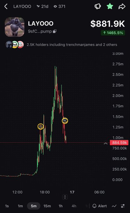 A TradingView chart for the memecoin 'LAYOOO' showing a massive green and red candlestick spike, with a market cap of $881.9K and a 1465.5% gain.