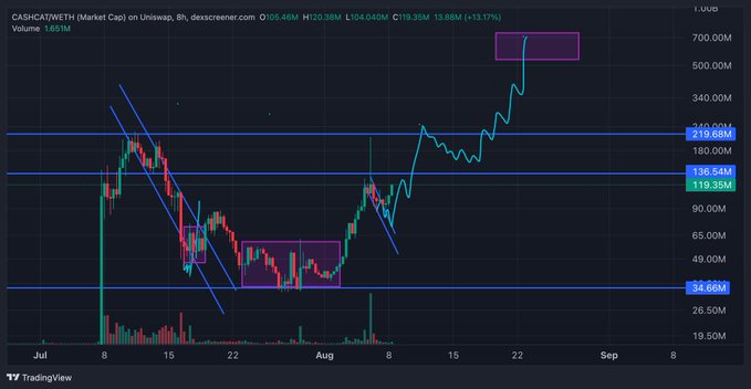 TradingView chart of CASHCAT/WETH showing price movement from July through August, with a market cap reaching approximately 700M, displaying resistance levels and support at 119.35M.