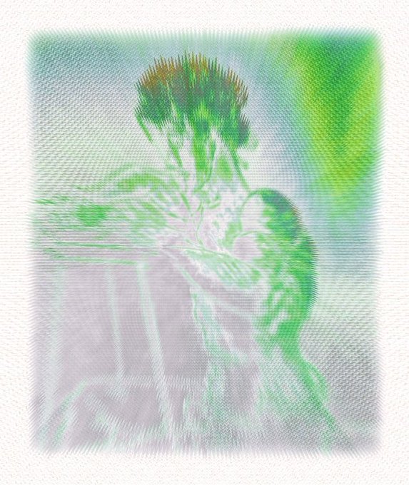 A heavily blurred, greenish-white digital or printed image that appears to show a figure, with a mesh-like texture overlay.