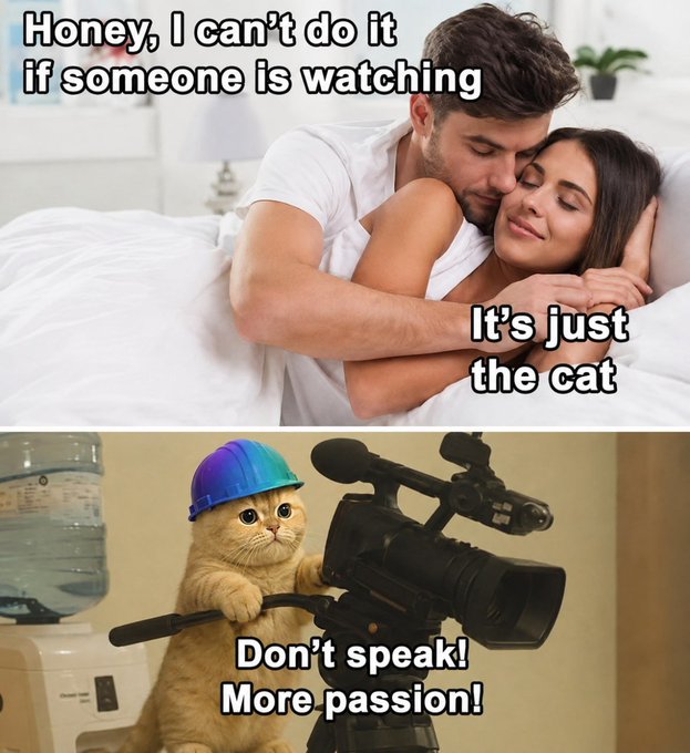 The meme shows a couple in bed with the text "Honey, I can't do it if someone is watching," followed by "It's just the cat," and then a determined cat in a hard hat behind a video camera saying "Don't speak! More passion!"—humorously depicting a feline director demanding more emotion from its human subjects, tying into the post's emphasis on "passion" and the $SOLCAT token.