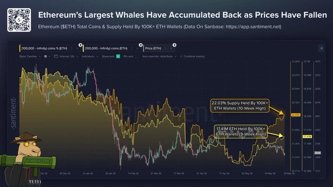 In the image, an animated cartoon depicts a bear holding a green book with gold letters that are too small for him to read. It also features a price chart showing the fluctuations of Ethereum's largest whale transactions. The bear seems lost while looking at the chart, as if he is trying to understand it or make sense of the trends displayed in the graph.
