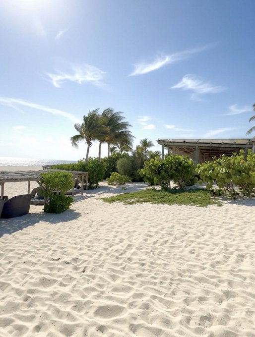Soft white sand stretches toward the ocean under a bright morning sky, framed by swaying palm trees and a shaded beachside cabana — a picture-perfect start to the day.