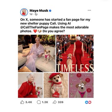 The image shows a tweet from Maye Musk (@mayemusk) with 3.4K likes, announcing on X that she started a fan page for her new shelter puppy Cali, mentioning @CaliTheFanPage uses AI to create adorable photos. The accompanying note explains that Maye Musk shared the official $CALI memecoin X account on her social platforms, tying the image's fan page announcement to the $CALI token created for her dog.
