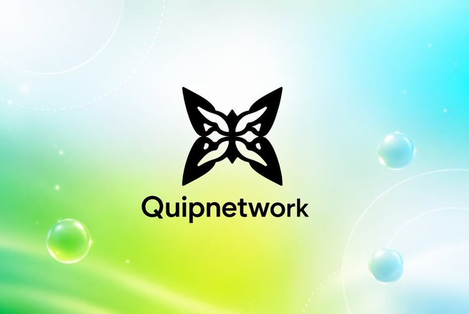 A logo featuring a black butterfly design with the text 'Quipnetwork' displayed against a soft green and blue gradient background with bubble accents.