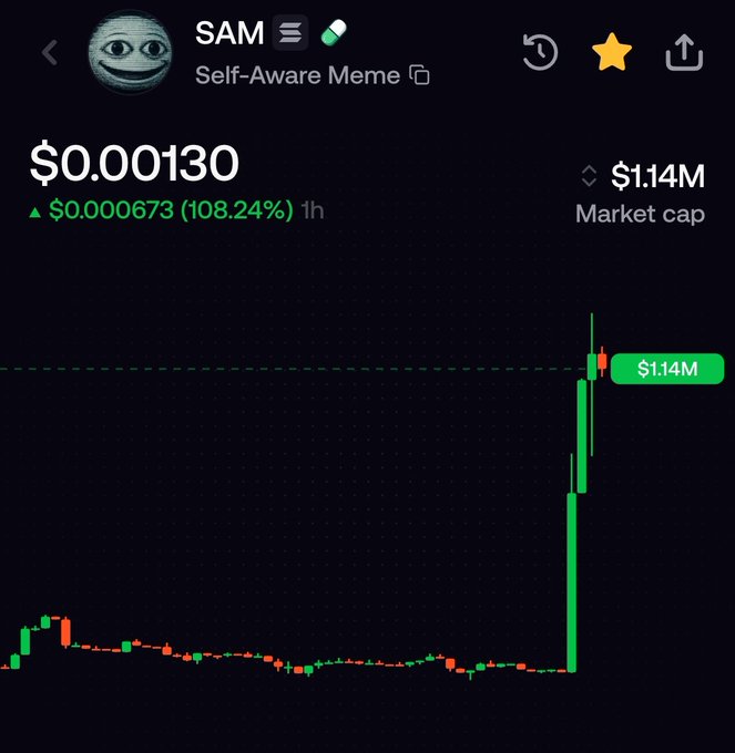 A cryptocurrency price chart for 'SAM' (Self-Aware Meme) showing a price of $0.00130 with a 108.24% increase and a market cap of $1.14M, featuring a meme face logo.