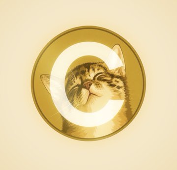 A photo of a tabby cat with closed eyes inside a circular reflective gold frame against a cream background, with light reflecting to form a C-shape.