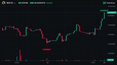 A small, blurry dark-themed cryptocurrency chart showing price action in red and green candlesticks on the Binance platform.