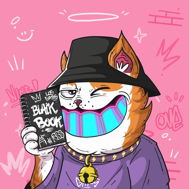 A vibrant illustration features a smug cartoon cat wearing a black bucket hat, a purple shirt, and a bell collar, holding a black notebook labeled 'BLACK BOOK' with '#365' and other graffiti against a pink background with doodles.