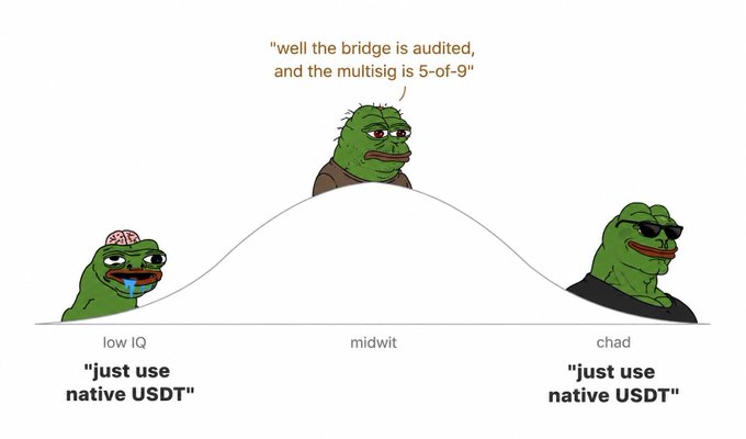 The image is a "brain meme" showing three Pepe characters on a bell curve, with the "low IQ" and "chad" frogs at opposite ends both saying "just use native USDT," while the "midwit" Pepe dismisses the simple solution by arguing about technical details ("well the bridge is audited, and the multisig is 5-of-9").

The meme illustrates the post's point that simplicity beats overengineering when it comes to USDT—using native USDT eliminates unnecessary dependencies like bridges and multisigs, while the "midwit" falls into the trap of trusting complex wrapped solutions that introduce extra points of failure.