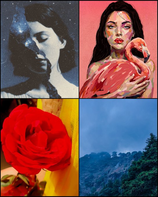 A four-panel collage featuring a woman with a starry galaxy overlay, a painted portrait of a woman with a flamingo, a close-up of a red rose, and a misty mountain landscape.