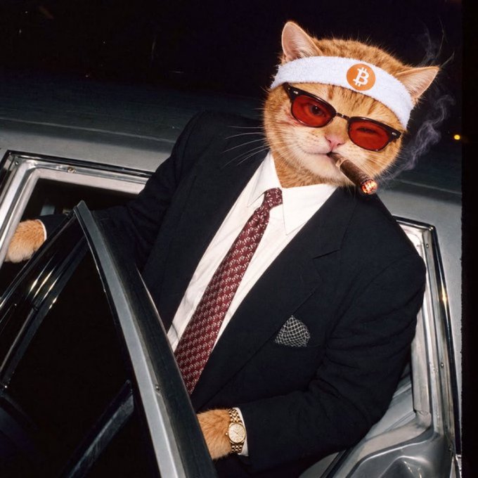 A photo of a man in a black suit and tie exiting a car has been edited to replace his head with an orange cat wearing red sunglasses, a Bitcoin headband, and smoking a cigar.