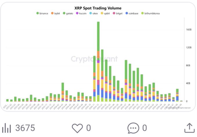 Bar chart titled "XRP Spot Trading Volume" showing historical trading data across exchanges including binance, bybit, and coinbase, with a notable volume spike in early 2024.
