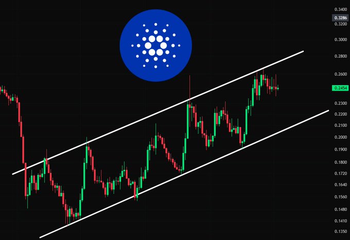 The image displays a candlestick chart for Cardano (ADA) with its blue logo prominently featured, showing the cryptocurrency's price action confined within an ascending channel pattern indicated by two parallel white trendlines. The current price reads 0.2454, consistent with the post's caution about taking on too much risk in October as ADA trades within this channeled range.