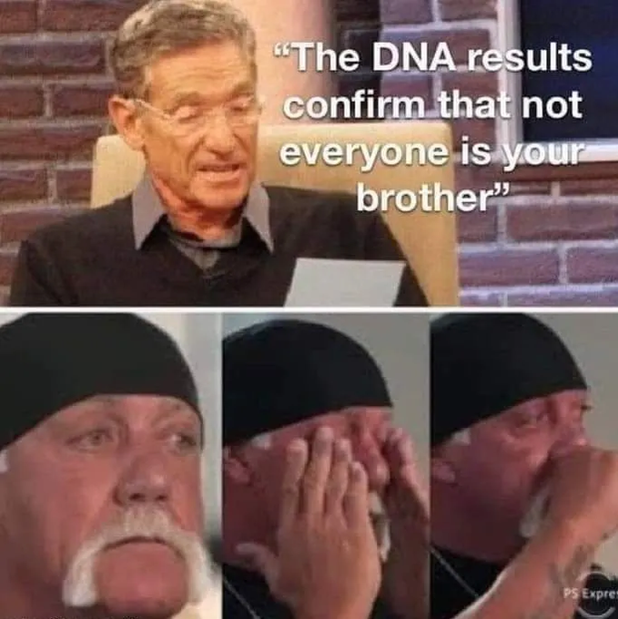 A meme featuring Maury Povich announcing 'The DNA results confirm that not everyone is your brother,' with a crying Hulk Hogan reaction below.