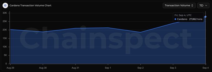 A line graph titled 'Cardano Transaction Volume Chart' from ChainSpect, showing Cardano's transaction volume over a 7-day period ending September 4 UTC, reaching 27,862 transactions.