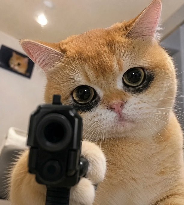 An adorable golden British Shorthair cat is photographed holding a small black handgun pointed toward the camera, with large expressive eyes and a focused expression. The image playfully embodies the post's declaration about "$GUNS" cryptocurrency, using the literal "animals with guns" concept as the rallying theme for pushing the token past its 1M market cap milestone.