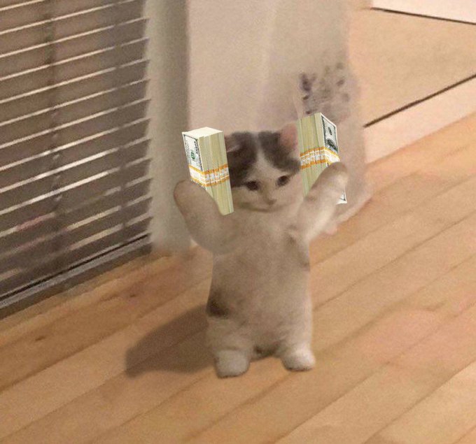 A small kitten stands on its hind legs holding up two small boxes tied with yellow ribbons, humorously portraying a "Michi" price prediction of $2.78 per token. The image playfully frames the kitten as a financial analyst presenting bullish news about the $MICHI cryptocurrency.
