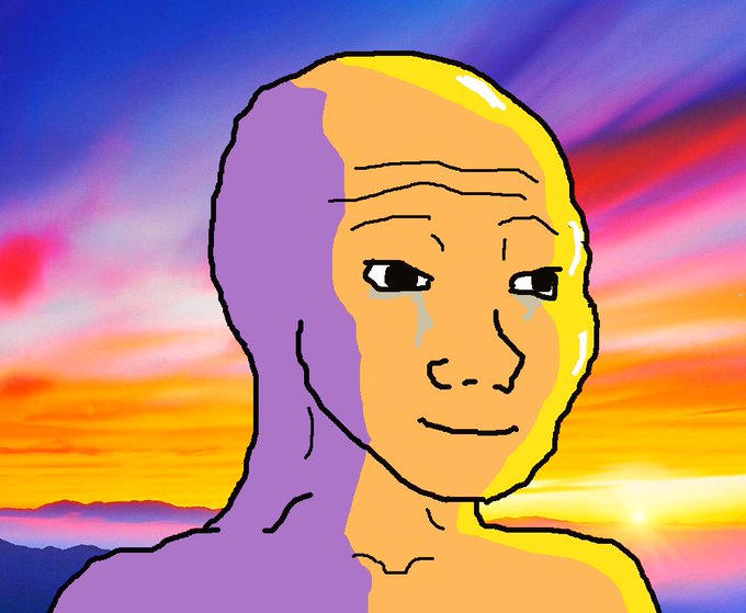 A crudely drawn "Wojak" style character with a smug expression and tears of joy streams down his face against a vibrant sunset background, reflecting the euphoric mood often associated with memecoin hype. The image pairs with a post promoting $normie as a potential "100x" memecoin investment.