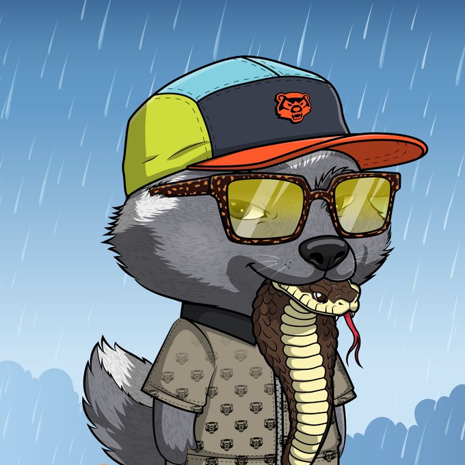 A cartoon honey badger wearing a yellow and orange cap with a bear logo, yellow-tinted sunglasses, and a patterned shirt bites into a cobra in the rain. The "GMHB!" (Good Morning Honey Badger) post and phrase "The den is cooking" tie into the bold, fearless imagery of the honey badger taking on a venomous snake.