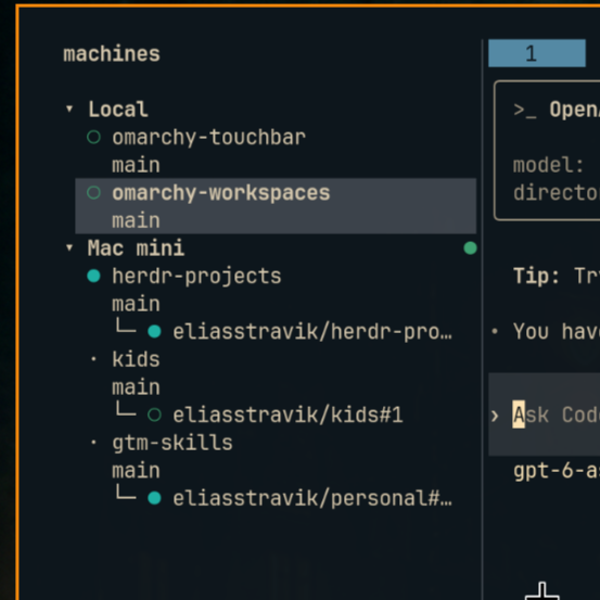 A screenshot of a code editor interface showing a sidebar with 'machines' listing repositories including 'omarchy-touchbar', 'omarchy-workspaces', 'herdr-projects', 'kids', and 'gtm-skills' under Local and Mac mini categories.