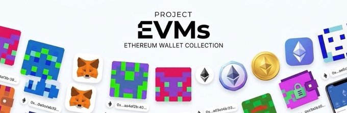 Banner image for 'Project EVMs - Ethereum Wallet Collection' featuring various NFT-style wallet icons including pixel art, Shiba Inu dogs, and crypto tokens.