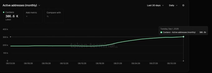 A dark-themed line chart titled 'Active addresses (monthly)' showing the Cardano network metric at 306.6K Latest, tracking data over the last 30 days on a daily basis with a watermark reading 'token terminal'.