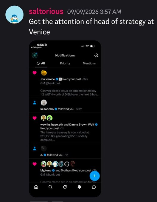A social media post by 'saltorious' dated 09/09/2026 says 'Got the attention of head of strategy at Venice', accompanied by a screenshot of Telegram notifications.