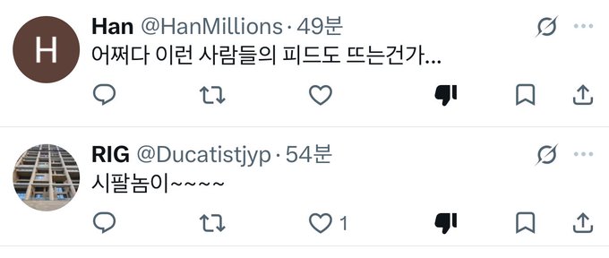 Two Twitter/X posts in Korean: user 'Han @HanMillions' posts '어쩌다 이런 사람들의 피도 뜨는건가...' (How did these people's blood boil...) and user 'RIG @Ducatistjyp' posts '시팔놈이~~~~~' (with 1 like).