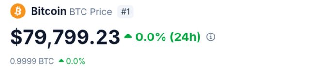 A Bitcoin (BTC) price display showing $79,799.23 with a 0.0% change over 24 hours.