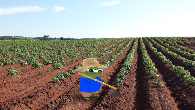 A Pepe the Frog character dressed as a farmer with a straw hat and shovel standing in a tilled agricultural field with rows of green crops under a blue sky.