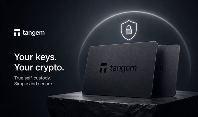 Tangem's advertisement showcases two sleek black hardware wallets displayed on a stone surface beneath a shield-with-padlock icon, reinforcing the tagline "Your keys. Your crypto. True self-custody. Simple and secure." The imagery visually reinforces the post's emphasis on Tangem's self-custody hardware wallet solution, where users maintain full control of their private keys rather than relying on third-party custody.