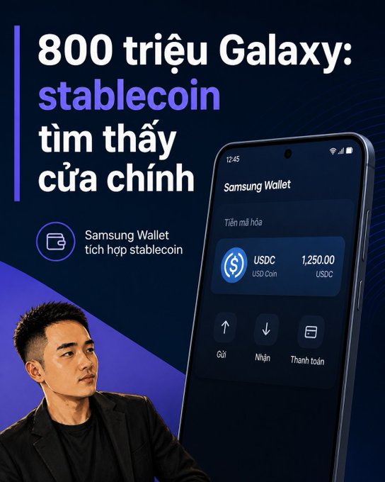 The image is a promotional graphic for Samsung Wallet's stablecoin integration, featuring Vietnamese text "800 triệu Galaxy: stablecoin tìm thấy cửa chính" (800 million Galaxy: stablecoin finds the main door) and a smartphone display showing a USDC balance of 1,250.00 with options to send, receive, and pay, alongside a man in a dark blazer looking off to the side.