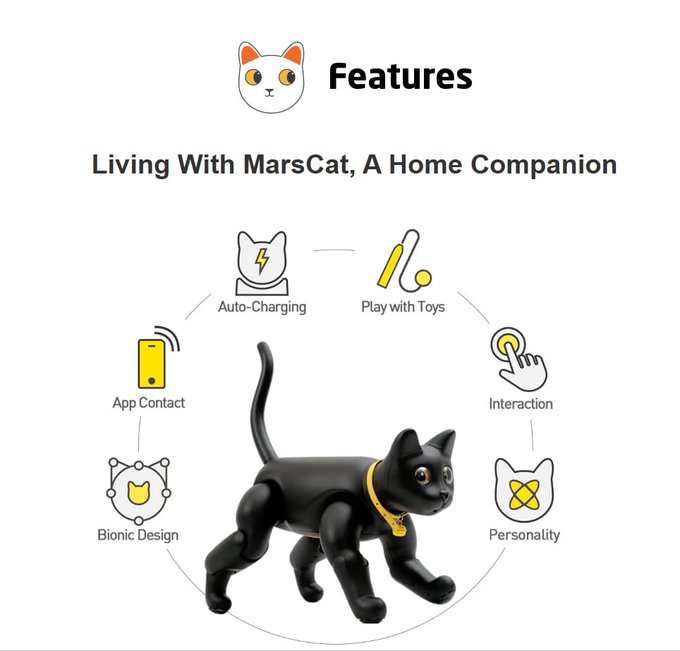 Product infographic titled 'Living With MarsCat, A Home Companion' showing a black robotic cat surrounded by feature icons including Auto-Charging, Play with Toys, Interaction, Personality, Bionic Design, and App Contact.