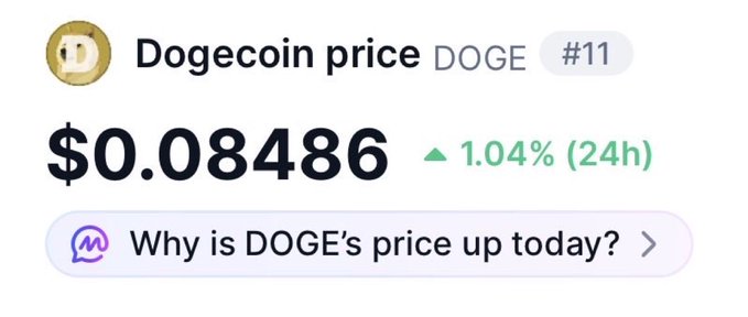 A price tracker card for Dogecoin (DOGE) showing a price of $0.08486, up 1.04% in 24 hours, with a clickable prompt reading 'Why is DOGE's price up today?'
