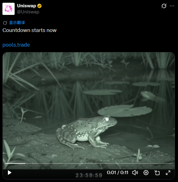 The image shows a tweet from the official Uniswap account (@Uniswap) with the text "Countdown starts now" and a link to "pools.trade," featuring a black-and-white video of a glowing-eyed frog sitting by a pond at night. This aligns with the post's narrative promoting $FRONG as a Pepe-like mascot token launching on Uniswap's pools.trade platform, with the frog imagery reinforcing the frog-themed branding of the token.