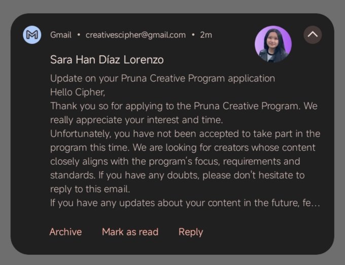 A Gmail notification from Sara Han Díaz Lorenzo at creativescipher@gmail.com informs the recipient that their Pruna Creative Program application was not accepted, as it relates to the post's message about getting rejected and needing to try again.