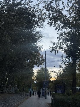 A street scene at dusk or dawn, showing a paved walkway lined with trees, a street lamp, and a few people walking in the distance.