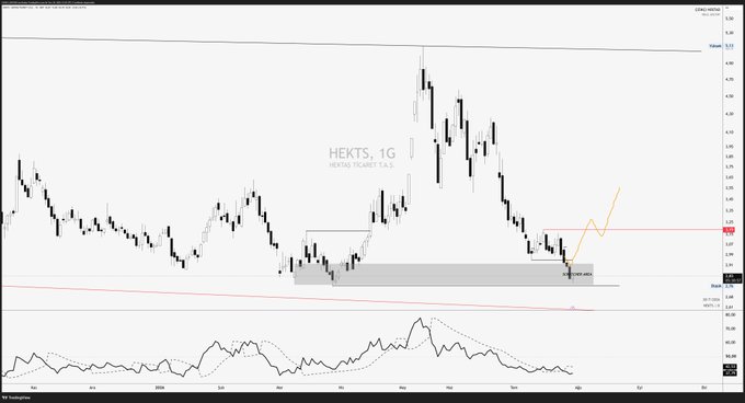 A daily chart of HEKTS (Hektar TICARET T.A.S.) displaying price action between roughly 3.19 and 4.50, with a gray shaded support zone near the lows and a red horizontal line marking the 3.19 breakout level, aligning with the post's caution to wait for a break above 3.19 before taking a swing position. The accompanying RSI indicator at the bottom shows the stock is oversold near historical lows, supporting the post's suggestion to avoid a premature bottom-pick.