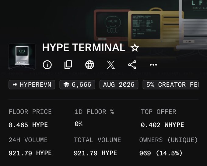 A profile page for 'HYPE TERMINAL' NFT collection on HYPEREVM showing 6,666 supply, August 2026, with a floor price of 0.465 HYPE and 921.79 HYPE 24H volume.