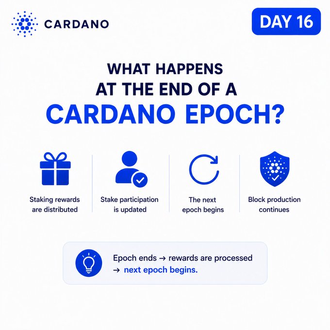 A Day 16 educational Cardano graphic explains what happens at the end of a 5-day epoch, highlighting four key actions: staking rewards are distributed, stake participation is updated, the next epoch begins, and block production continues.