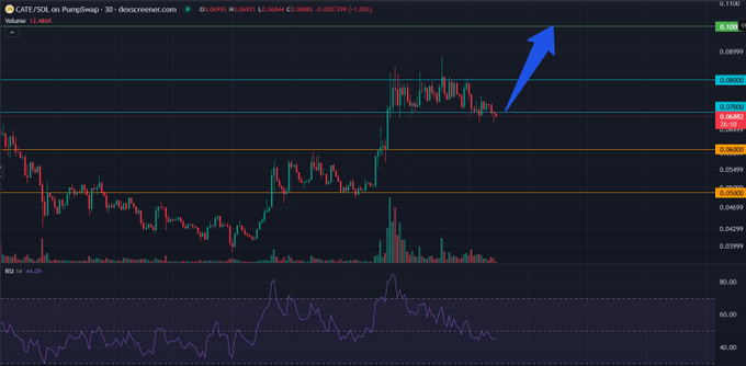 A candlestick trading chart for CATE/USDT on PumpSwap with a 30-minute timeframe is displayed, showing price action, volume bars, and RSI indicator, with a blue arrow pointing to a recent price level near 0.08600.