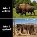 A two-panel meme labeled 'What I ordered' showing a bison and 'What I received' showing Stonehenge, humorously depicting a failed expectation.