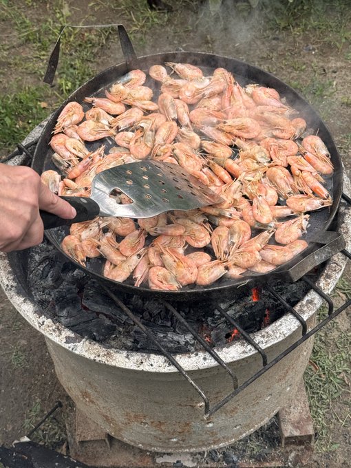 A large round metal pan filled with pink shrimp cooking over a charcoal fire, with a hand holding a slotted metal spatula.