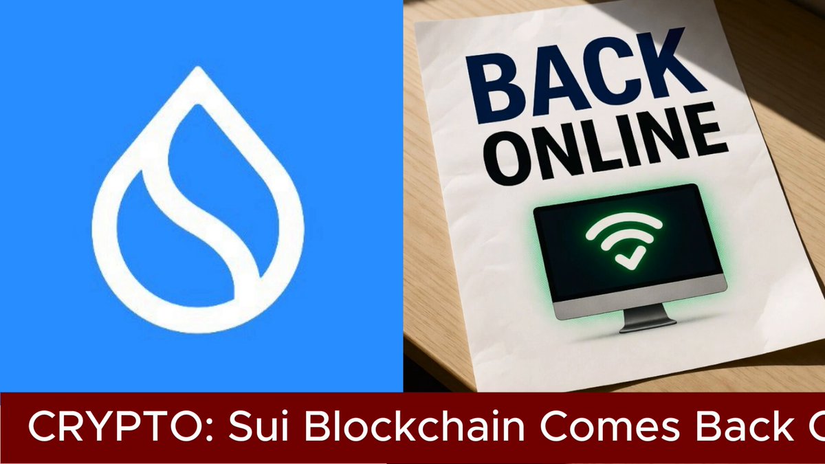 The image shows a computer monitor displaying a message that says "Back Online" with a green checkmark symbolizing a successful connection. The background of the image is white, making the text stand out. The text also mentions a network outage, which could have been caused by a crash bug in the gas charging logic or other technical issues. The post appears to be discussing the Sui blockchain and its operations after a network downtime incident.